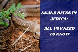 Image result for Snake Bite