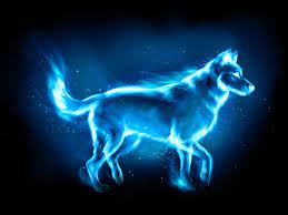 What hermione's patronus looks like on pottermore :)how i got this: Harry Potter Patronus Testedich