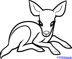 How To Draw A Baby Deer Baby Deer Step By Step Forest Animals Animals Free Online Drawing Tutori Baby Animal Drawings Animal Drawings Cute Animal Drawings