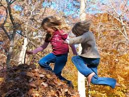 Ver más ideas sobre juegos al aire libre, juegos, juegos para niños. Juego Libre Para Preescolar Juegos Y Mas Juegos Para El Tiempo Libre Jual Pernak Pernik Korea Di Bandung