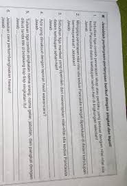 1 Sebutkan Tiga Contoh Penerapan Sikap Atau Perilaku Yang Sesuai Dengan Nilai Nilai Kedua Pancila Brainly Co Id