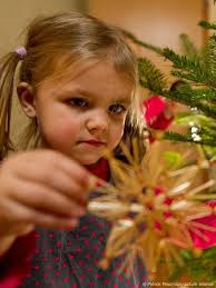 Nachhaltigkeit unterm Tannenbaum