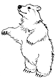 24 Disegni Di Orsi Da Colorare Pianetabambini It Origami Geometrici Cucciolo Di Orso Disegni