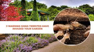 You are planting too near to your house. 3 Warning Signs Termites Have Invaded Your Garden Dentec Pest Management