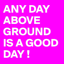 Maybe you would like to learn more about one of these? Any Day Above Ground Is A Good Day Post By Busylizzie On Boldomatic