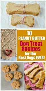 10 Homemade Peanut Butter Dog Treats That Will Seriously Impress Your Pup Homemade Peanut Butter Peanut Butter Dog Treats Dog Treats Homemade Peanut Butter