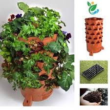 Tháp rau hữu cơ Eco