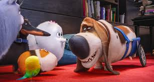 We did not find results for: The Secret Life Of Pets Upstate Ramblings