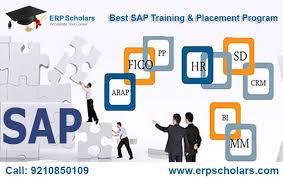 Erp Scholars Sap Training Institute Corporate Training Accounting Training Training Courses