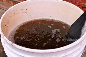 We did not find results for: A Simple Way To Make And Use Worm Tea Uncle Jim S Worm Farm