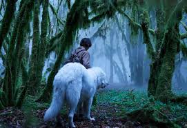 Birkaç gün sürdürülen aramalar henüz sonuç vermemiş, enkaz bulunamamıştır. Belle Et Sebastien Animal Trainer Movie News Instinct