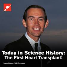 Celebrating One Year of Lizzie Gayle at Gift of Life! Marketing & Events  Coordinator