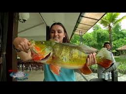 Memancing Di Kolam Monster Yogyakarta Mata Pancing 20 2 Youtube