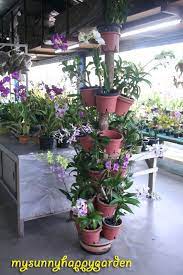 My Sunny Happy Garden Tips From United Malaysian Orchid Orchids Stacked Flower Pots Vertical Garden Diy