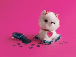 This Pomeranian From Klutz S Pom Pom Puppies Is Going To Be In Big Trouble Available At Klutz Com Or A Toy Store Near You