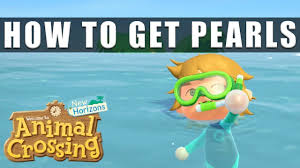 They can also be sold at nook's cranny for a total of 10,000 bells or be given to the player from pascal as an alternative to craft the diy's. Animal Crossing New Horizons How To Get Pearls Youtube