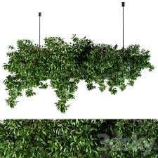 Triflora is a hanging planter for indoor plants that combines the utility of a drapery rod with the beauty of potted plants. 3d Models Indoor Hanging Box Plant Set 72