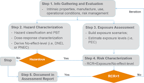 Classification of a chemical as posing a carcinogenic hazard is based on the inherent properties of the substance and does not provide information on the level of the human cancer risk which the use of the chemical may represent. Chemical Risk Assessment Overview And Examples