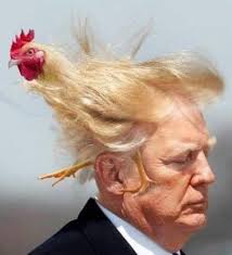 Donald Trump labeled TACO by Wall Street