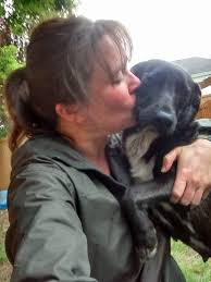 Lost Dog in Ann Arbor Area near Pioneer High School