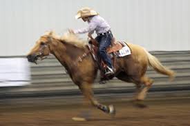 We did not find results for: Barrel Racing And Flat Racing Bloodlines Collide Aqha