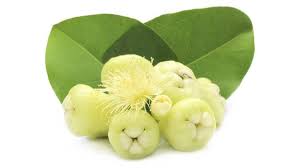 Situs jual beli online terlengkap dengan berbagai pilihan toko online terpercaya. Manfaat Jambu Air Putih Jaga Sistem Imun Dan Cegah Infeksi