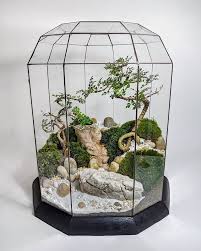 Are Terrariums Easy That S A Question I Get Asked A Lot But It May Be The Wrong Question To Ask With Living Plants Terrarium Live Plants Geometric Terrarium