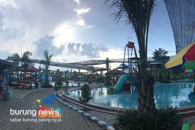0 rumah hobbit paraland resort : Selecta Waterpark 1 Banyuwangi Mau Hobimu Didukung Keluarga Bawa Saja Ke Even Ini Burungnews