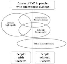 Renal diabetes or renal glycosuria is a clinical condition of appearance of sugar/glucose in urine due to renal tubular reabsorption defect even when the blood sugar level · diabetic nephropathy. Chronic Kidney Disease In Diabetes Diabetes Canada