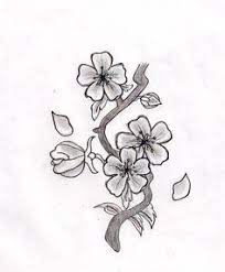 Cherry Blossom Tree Wallpaper Japanese Cherry Tree Best Stuff Cherry Blossom Drawing Flower Drawing Blossom Tree Tattoo