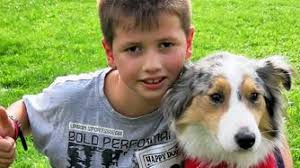 In Breitenholz wurden jetzt die schönsten Hunde gekürt