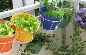 Vous êtes d'accords qu'aménager son jardin sur le balcon peut être une bonne idée ? Un Potager Sur Mon Balcon Conseils Graines Bocquet