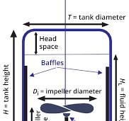 Fluid Flow and Mixing With Bioreactor Scale-Up