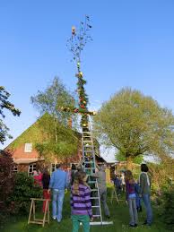 Zu Den Ostfriesischen Traditionen Gehort Auch Das Aufstellen Eines Maibaumes Ostfriesland Urlaub Nordsee