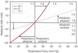 Image result for Base Excess