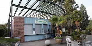 Bis 2012 hieß er neuer botanischer garten. Botanischer Garten Das Cafe Palme Sucht Einen Neuen Pachter Mopo
