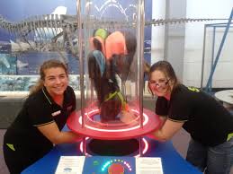 The New Vertical Wind Tunnel Exhibit At Wollongong Science Centre Planetarium Australia Planetarium Wollongong Space Science
