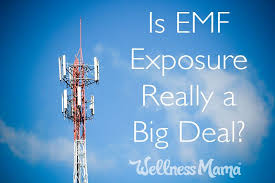 Is Emf Exposure Really A Big Deal Emf Wellness Mama Exposure