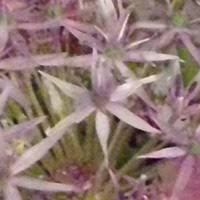 100+ "Ford-smith" profiles