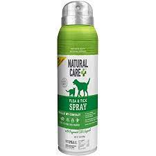 Amazon Com Natural Care Flea And Tick Spray For Dogs And Cats Flea Treatment For Dogs And Cats Flea Killer With Certified Natural Oils 14 Ounces Pet Supplies