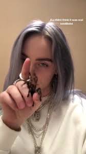 Wait Till The World Is Mine Visions I Vandalize Billie Billie Eilish Singer
