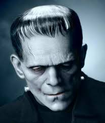 THE HOUSE OF FRADKIN-STEIN: Mary Wollstonecraft Shelley On The Motion  Picture SCREAM!