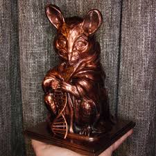 We did not find results for: Download Laboratory Mouse Von Jukka Seppanen