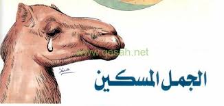 قصه قصيره عن الرفق الجمل المسكين قصة واقعية