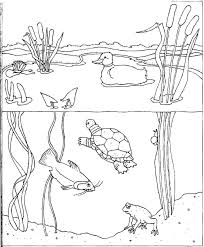 Also read the content of the display posters that suggest different activities (boiling some. Water Cycle Coloring Pages For Preschoolers Coloring Page Coloring Home