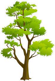 Pin By Mukhtar On Kartinki Detyam Tree Drawing Picture Tree Tree Painting