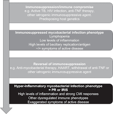 Neutropenia is sometimes called agranulocytosis or granulocytopenia because neutrophils make up about 60% of wbcs and have granules inside their cell walls. Paradoxical Reactions And Immune Reconstitution Inflammatory Syndrome In Tuberculosis International Journal Of Infectious Diseases