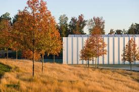 Ncma North Carolina Museum Of Art Art Museum Art Fall Colors