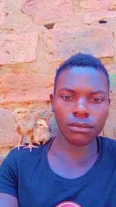 Looking for improved fertilized eggs in vihiga county ☝️ inbox or comment