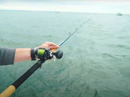 Coming in at only $100 for the base model the sky is the limit. St Croix Mojo Inshore Series Redesigned With Northeast Fishermen In Mind On The Water